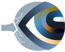 Retina